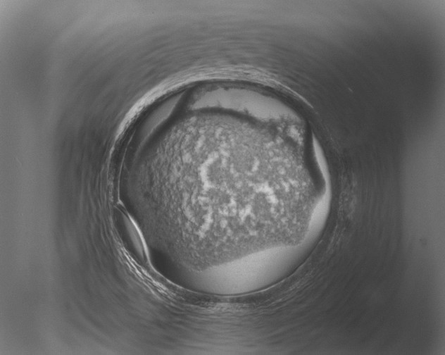 X0000085061506200703261150