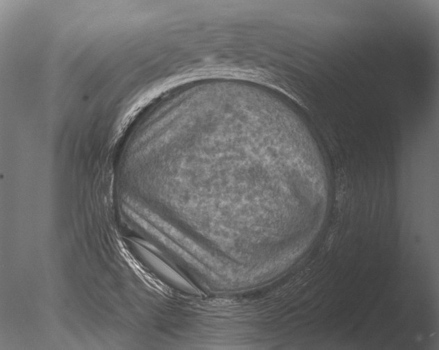 X0000085061507200703261150