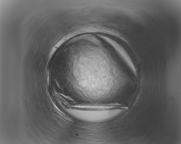 X0000085061509200703261151