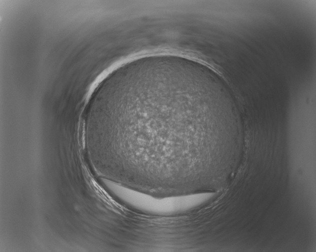 X0000085061510200703261151