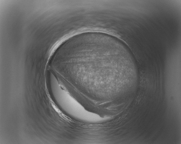 X0000085061511200703261151