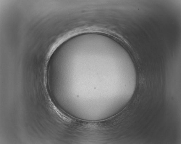 X0000085061512200703261151