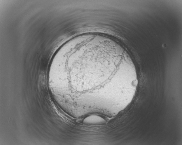 X0000085061513200703261151