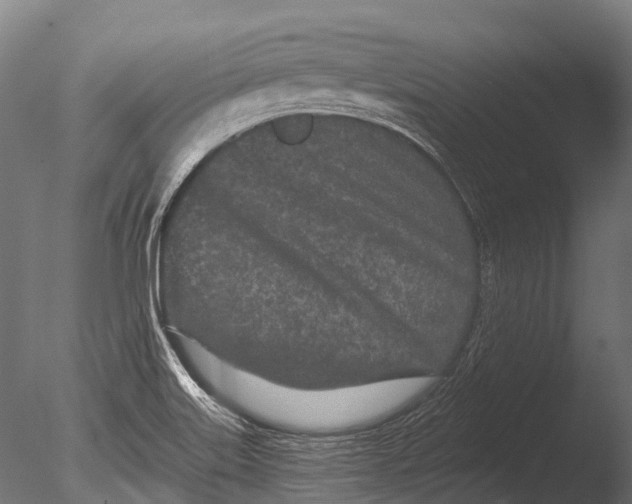 X0000085061515200703261151