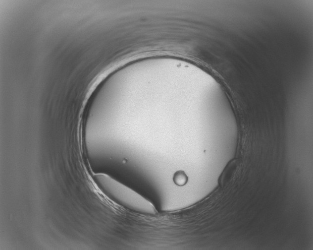 X0000085061516200703261151