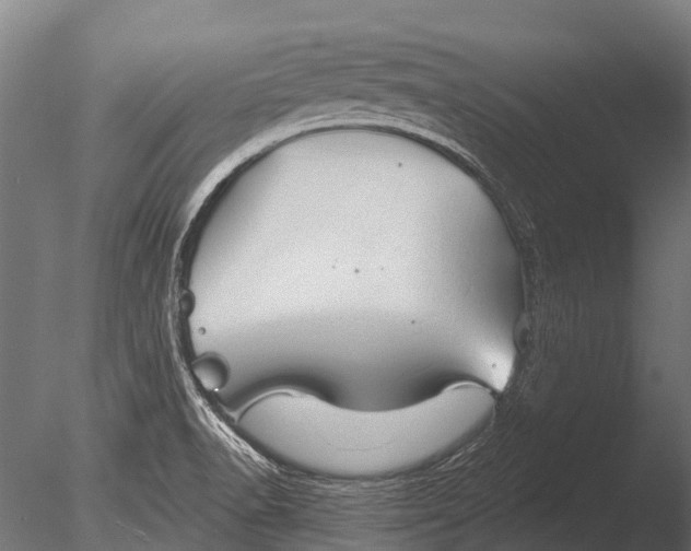 X0000085061518200703261151