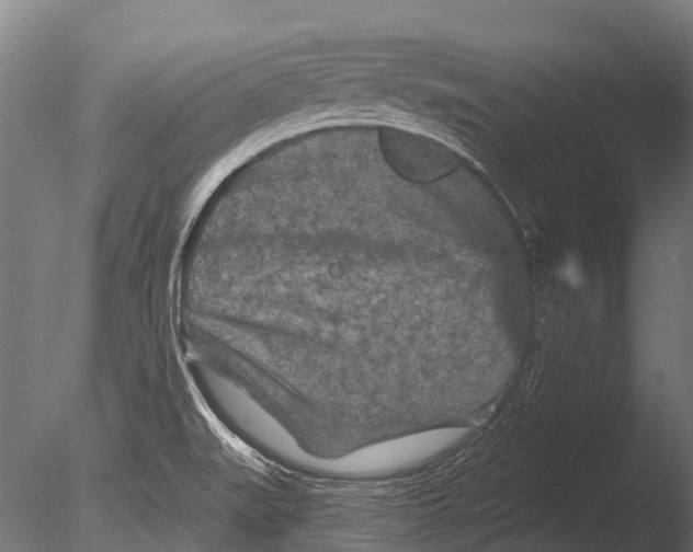 X0000085061519200703261151