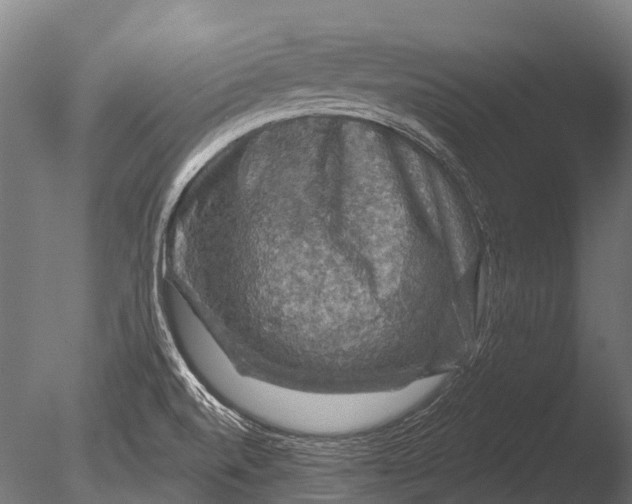 X0000085061520200703261151