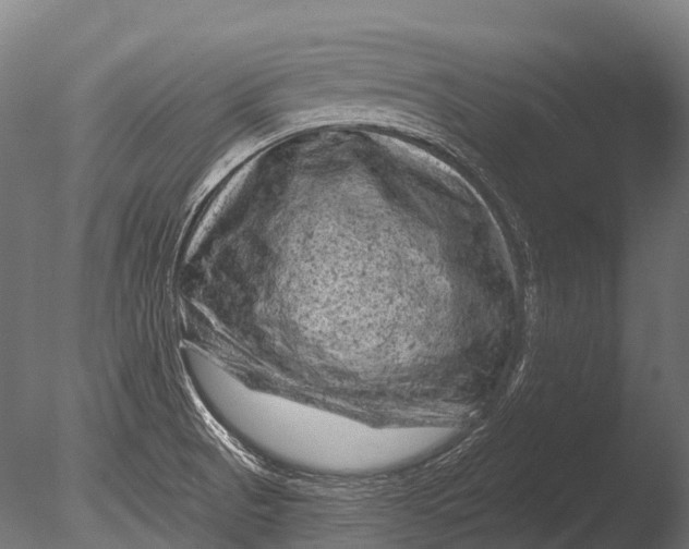 X0000085061521200703261151