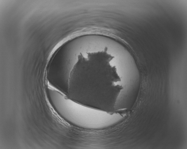 X0000085061522200703261151