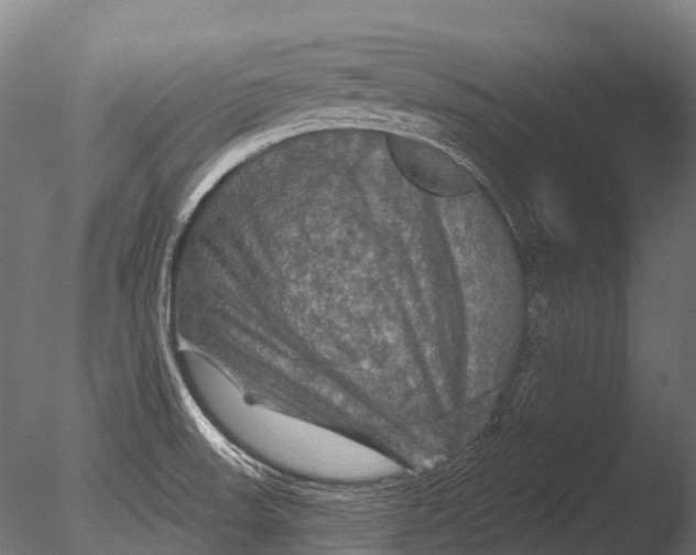 X0000085061523200703261151