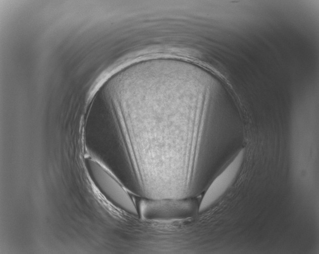 X0000085061524200703261151