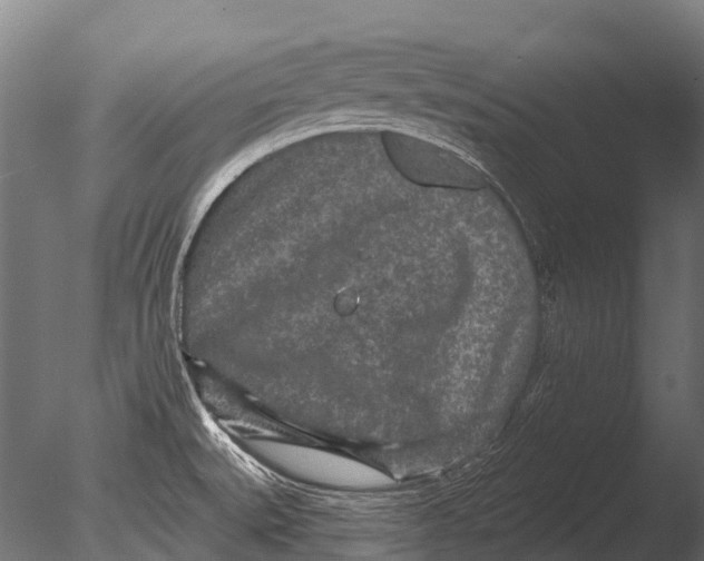 X0000085061527200703261151