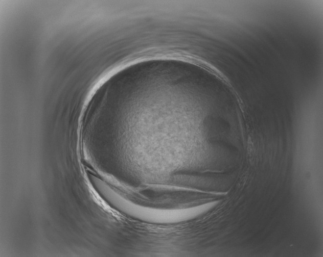 X0000085061528200703261151