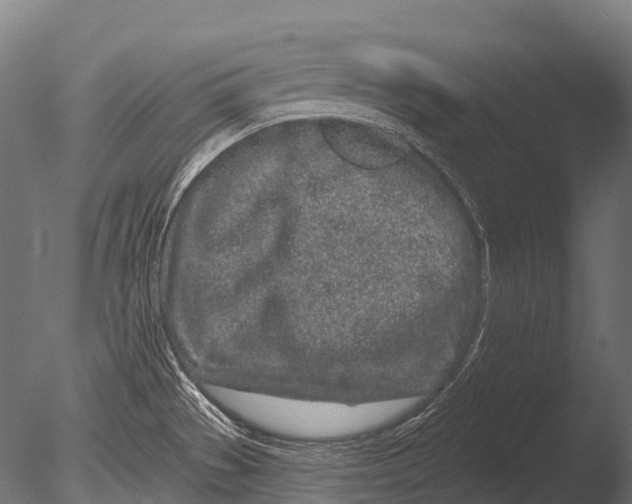 X0000085061529200703261151