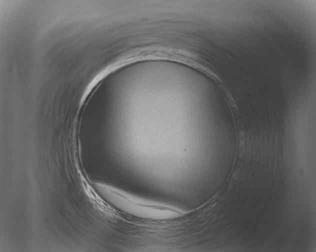 X0000085061530200703261151