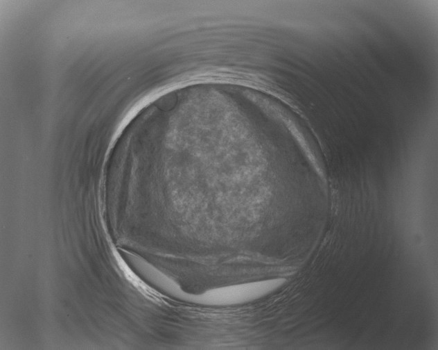 X0000085061531200703261151