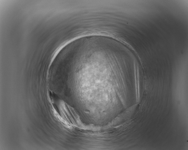 X0000085061532200703261151