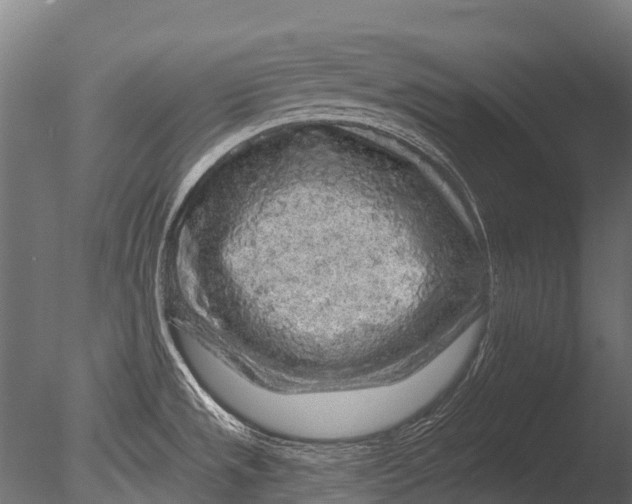 X0000085061533200703261151