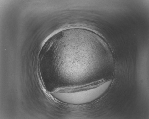 X0000085061534200703261151