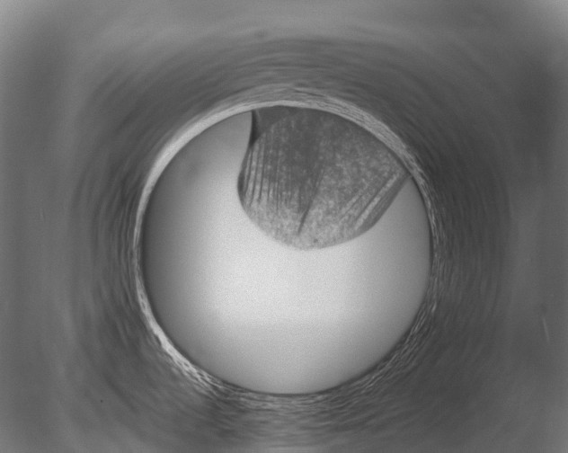 X0000085061536200703261151