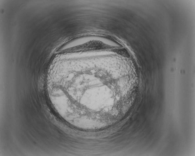 X0000085060010200704021357