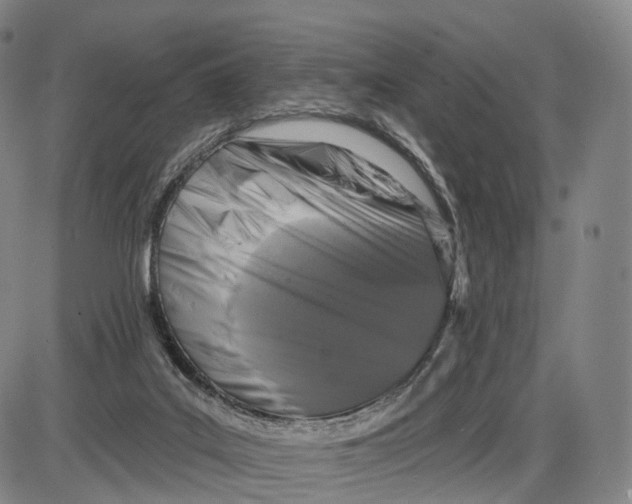 X0000085060019200704021356