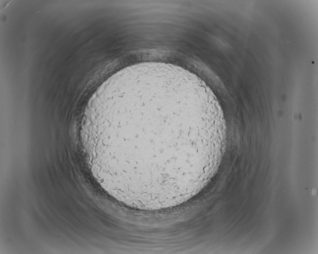 X0000085060022200704021356