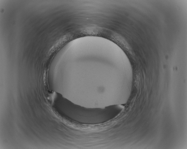 X0000085060023200704021356