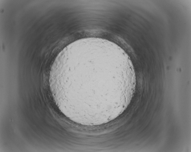 X0000085060026200704021356