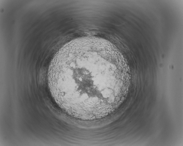 X0000085060030200704021356