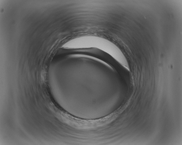 X0000085060035200704021356