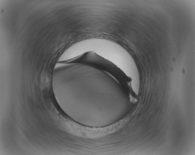 X0000085060039200704021356