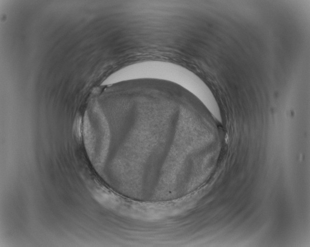 X0000085060041200704021356
