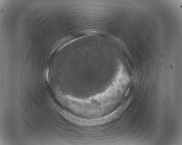 X0000085060047200704021356