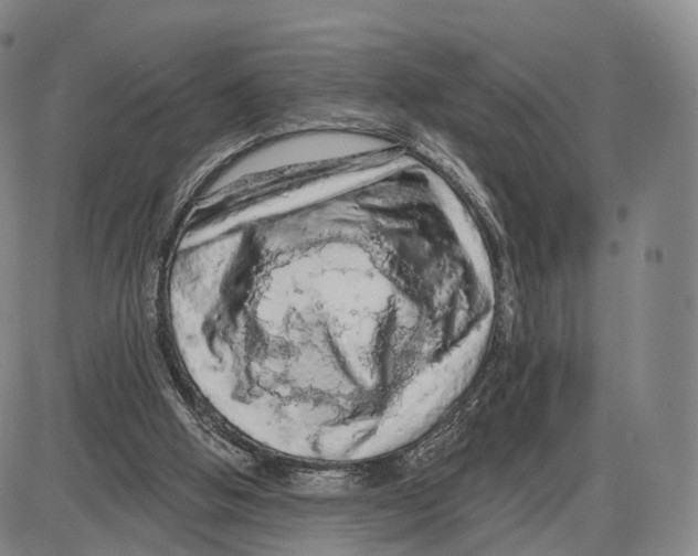 X0000085060058200704021355