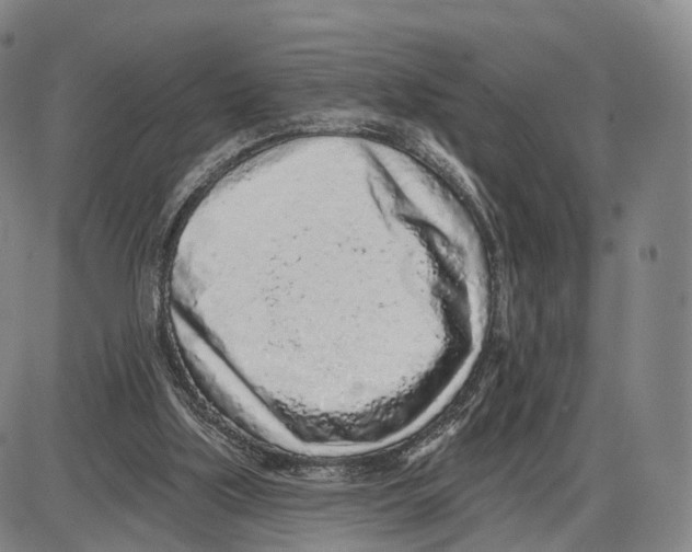 X0000085060059200704021355