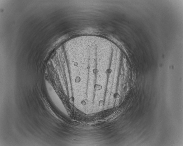 X0000085060061200704021355