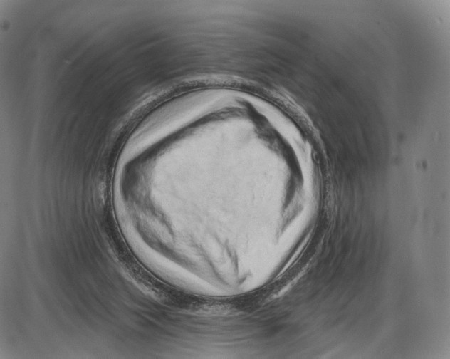 X0000085060063200704021355