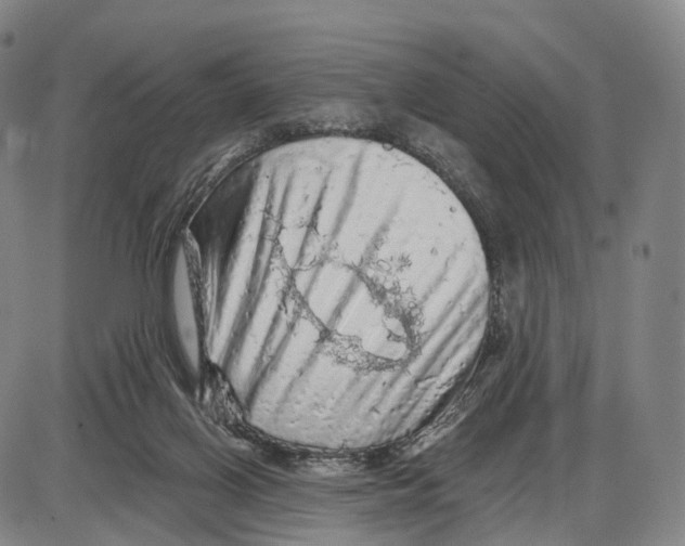 X0000085060070200704021356