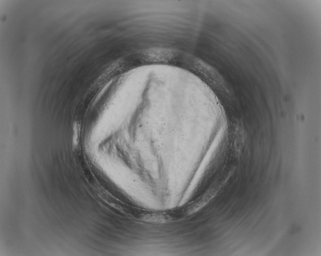 X0000085060075200704021356