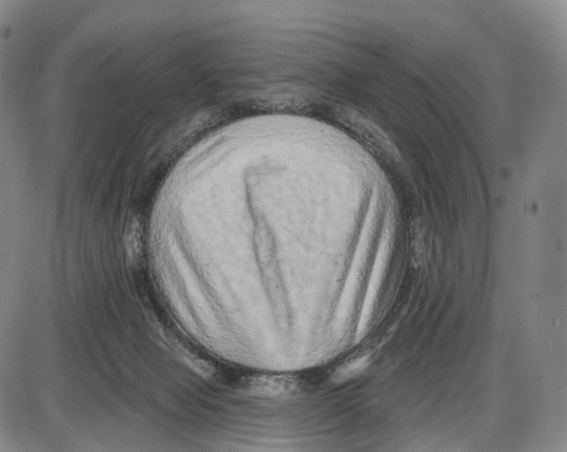 X0000085060077200704021356