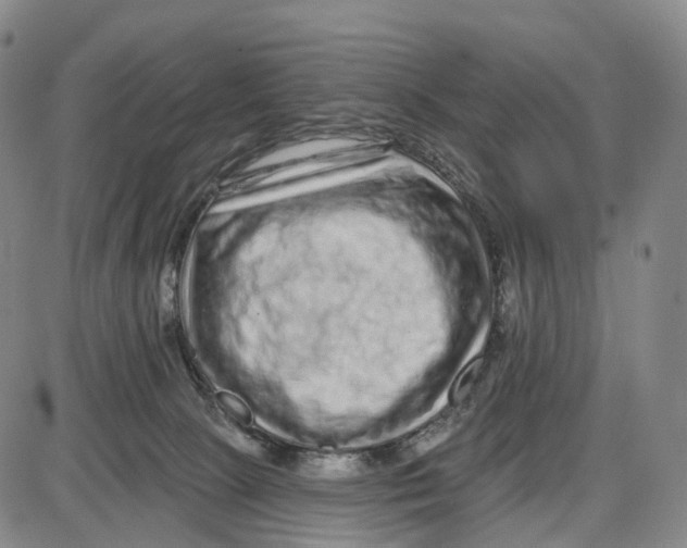 X0000085060081200704021356