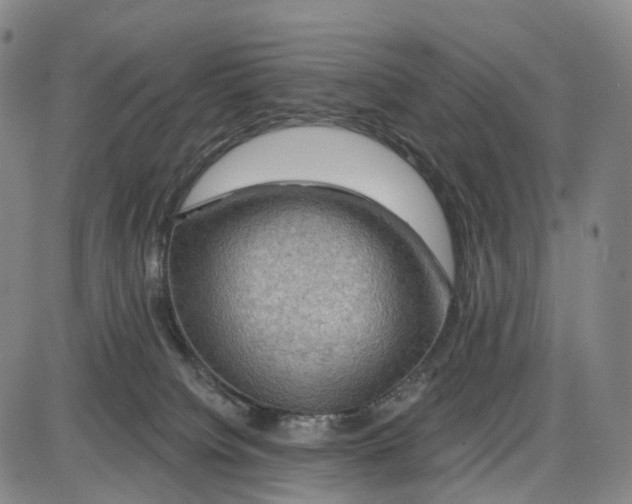 X0000085060084200704021356