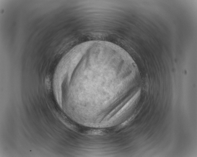 X0000085060086200704021356