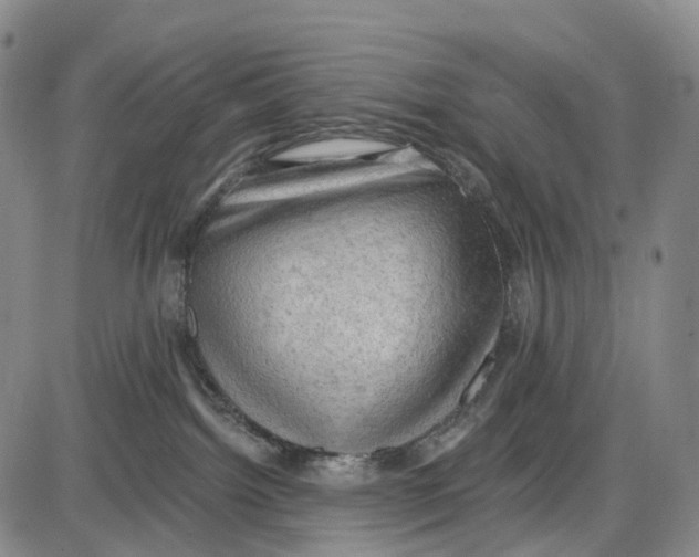 X0000085060092200704021356