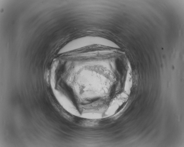 X0000085060094200704021356