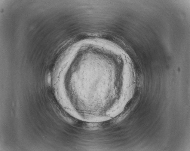X0000085060095200704021356