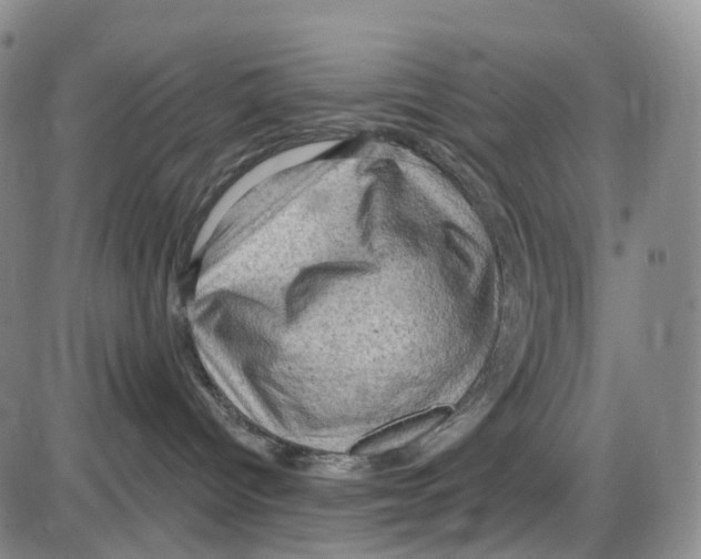 X0000085060096200704021356