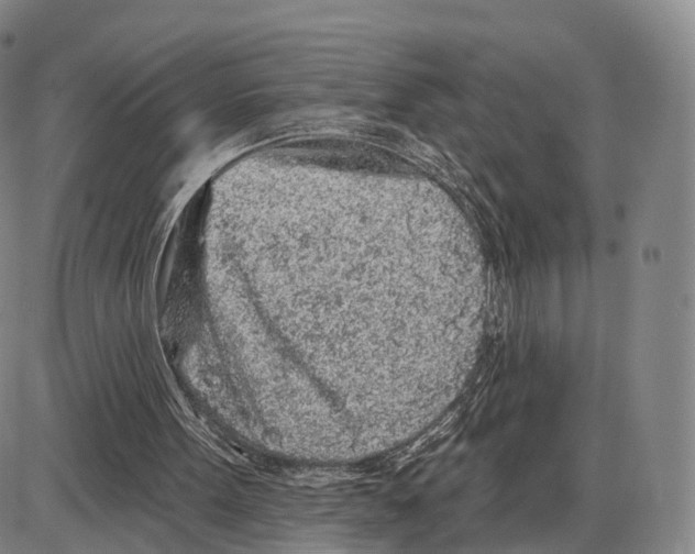 X0000085060099200704021355